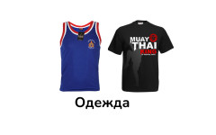 Одежда