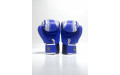 Боксерские перчатки TWINS Special FBGVL3-49 blue 10 oz