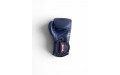 Боксерские перчатки Twins Special BGVL6 Navy/Navy 12 oz