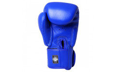 Боксерские перчатки Twins Special BGVL3 blue 8 oz