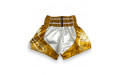 Шорты для бокса Twins Special TBS DRAGON 4- XL