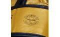 Боксерские перчатки Fairtex BGV19 gold 12 oz