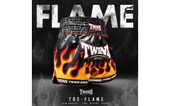 Шорты для бокса Twins Special TBS Flame S