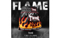 Шорты для бокса Twins Special TBS Flame XL