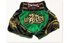 Шорты для бокса Twins Special TBS Dragon 3 M