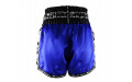 Шорты для бокса Twins Special TBS skull blue L