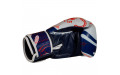 Боксерские перчатки Twins Special FBGVL4-67 Yant 10 oz