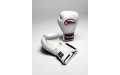 Боксерские перчатки Twins Special BGVL3 white 18 oz